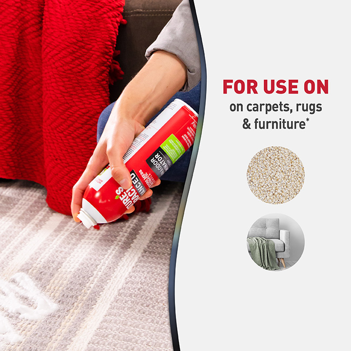 Advanced Stain and Odor Eliminator Foam for Dogs Nature's Miracle